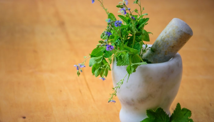 herbs naturopath natural health advice friendlies chemist castle townsville